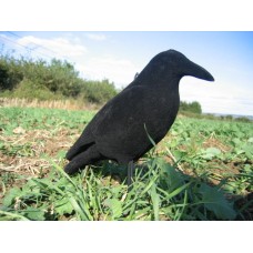 Flocked Full Body Crow Decoy